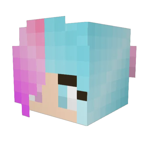 Princessb1 Minecraft avatar head, 3D render