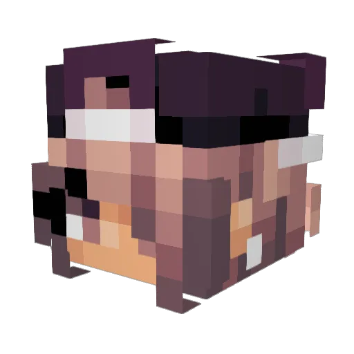 Princessblack06 Minecraft avatar head, 3D render