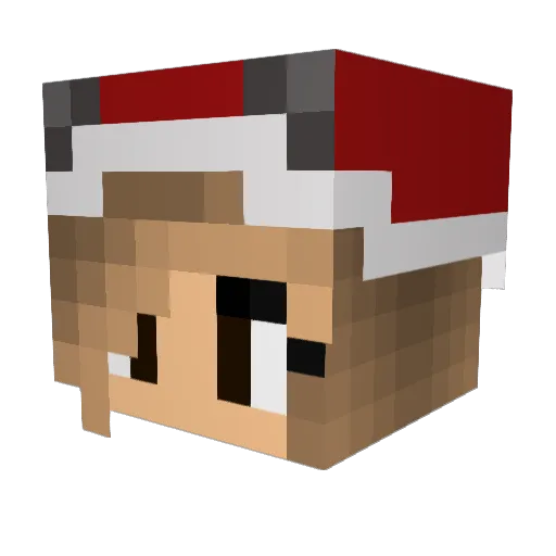 Princesscodi Minecraft avatar head, 3D render