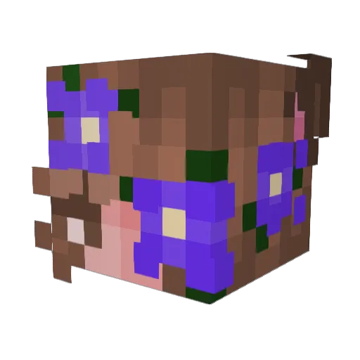 PrincesseBaka Minecraft avatar head, 3D render