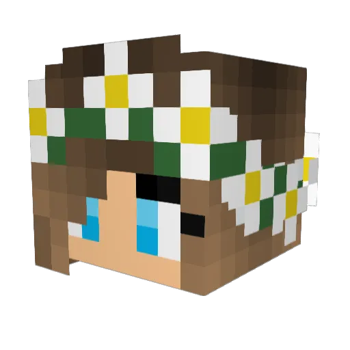 Princesspaige005 Minecraft avatar head, 3D render