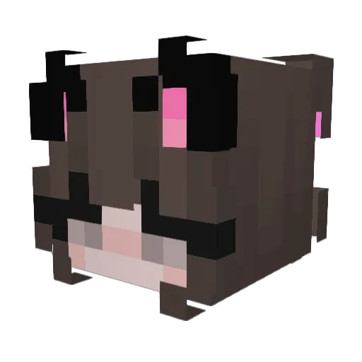 PrincesssAwsomee Minecraft avatar head, 3D render