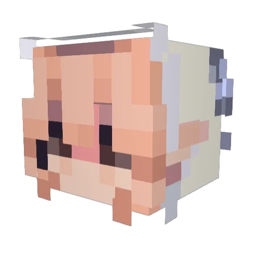 PrincessuKennyy Minecraft avatar head, 3D render