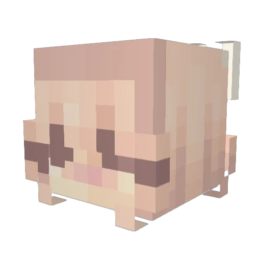 Princessvivi186 Minecraft avatar head, 3D render