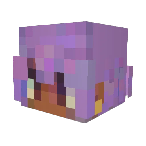 Princiepuppy Minecraft avatar head, 3D render