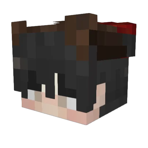 PrincipedaNoite_ Minecraft avatar head, 3D render