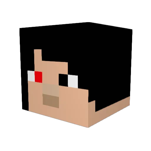 Principio1 Minecraft avatar head, 3D render