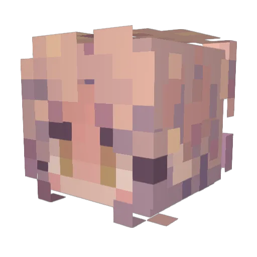 PrincxssCloud Minecraft avatar head, 3D render