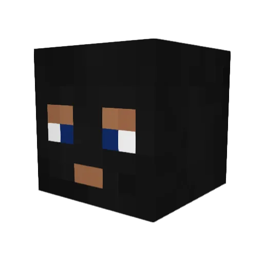 PringleDingle69 Minecraft avatar head, 3D render
