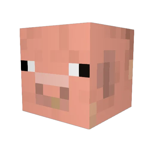 PringleGod69 Minecraft avatar head, 3D render