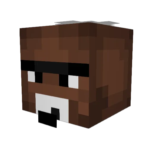 Pringle_4991 Minecraft avatar head, 3D render