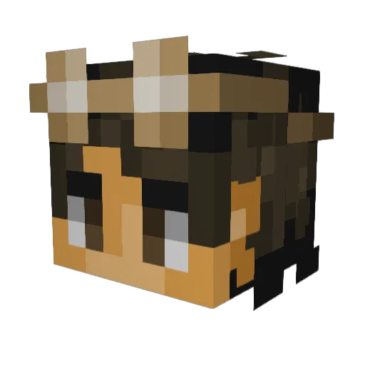 Pringle_Can Minecraft avatar head, 3D render