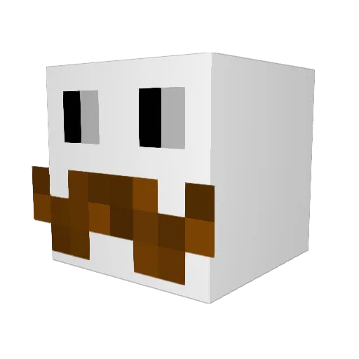 Pringle_Eater_ Minecraft avatar head, 3D render