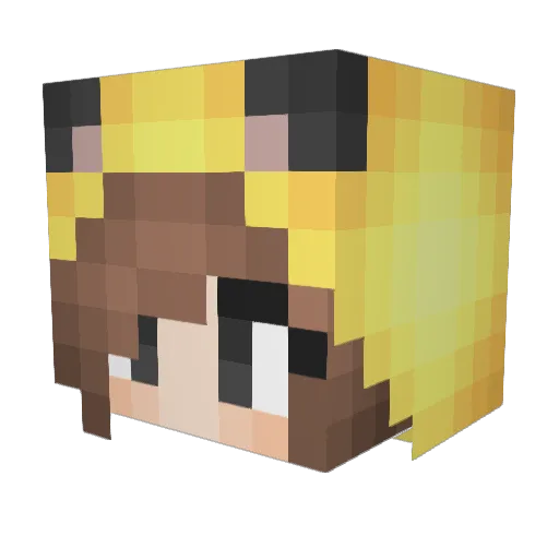 Pringles00765 Minecraft avatar head, 3D render