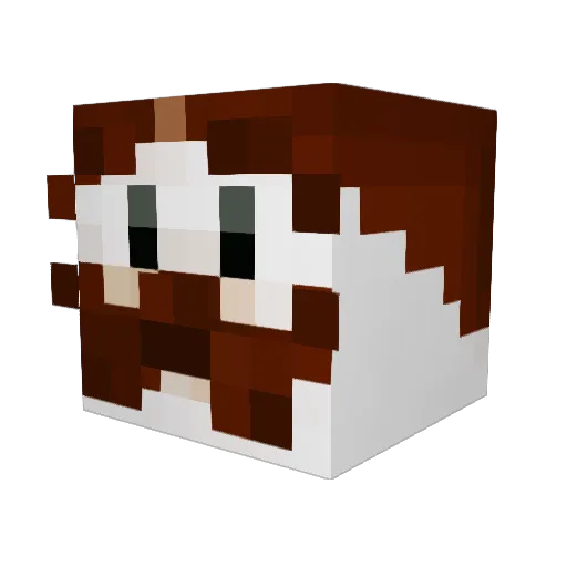 Pringularity Minecraft avatar head, 3D render