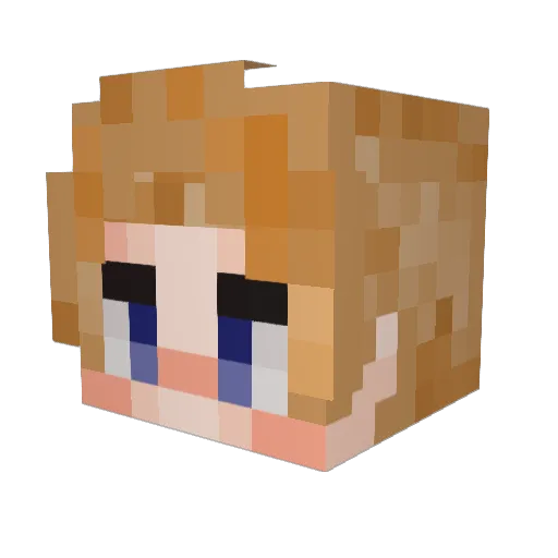 PrinsesWalnoot Minecraft avatar head, 3D render