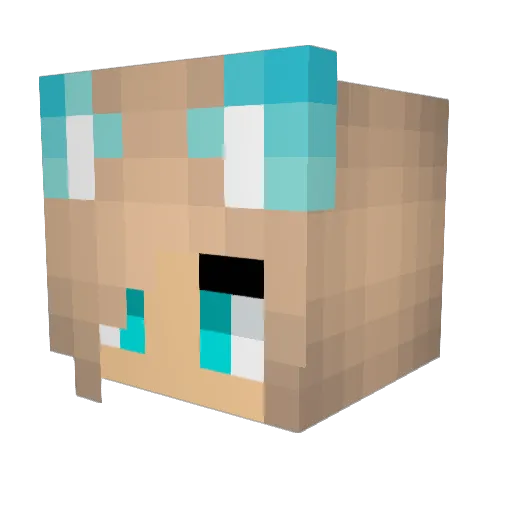 PrinsesseEmmi Minecraft avatar head, 3D render
