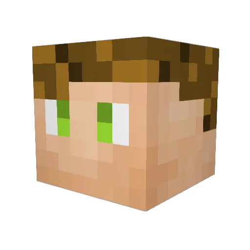 Printer22 Minecraft avatar head, 3D render