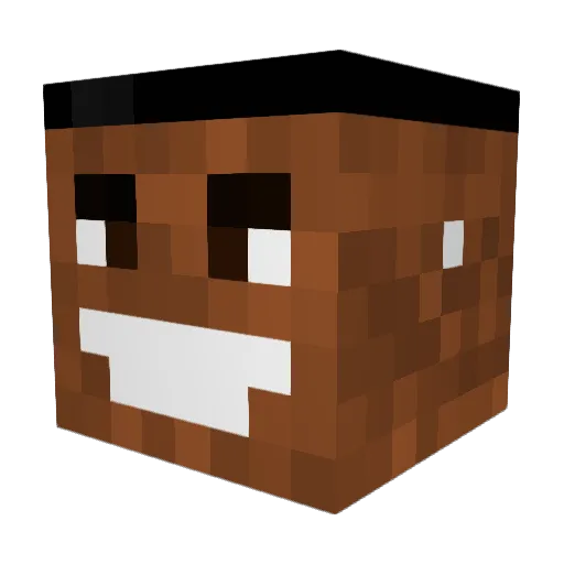PrintsZuko Minecraft avatar head, 3D render