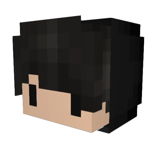 PrinzLeVodka Minecraft avatar head, 3D render