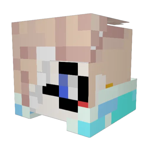 PrinzMitUmlaut Minecraft avatar head, 3D render