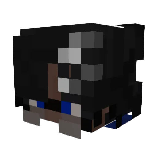 PrinzOfHeidnheim Minecraft avatar head, 3D render