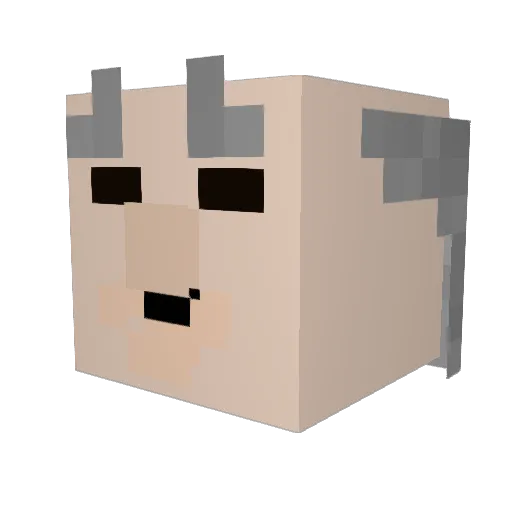 PrinzTomate Minecraft avatar head, 3D render