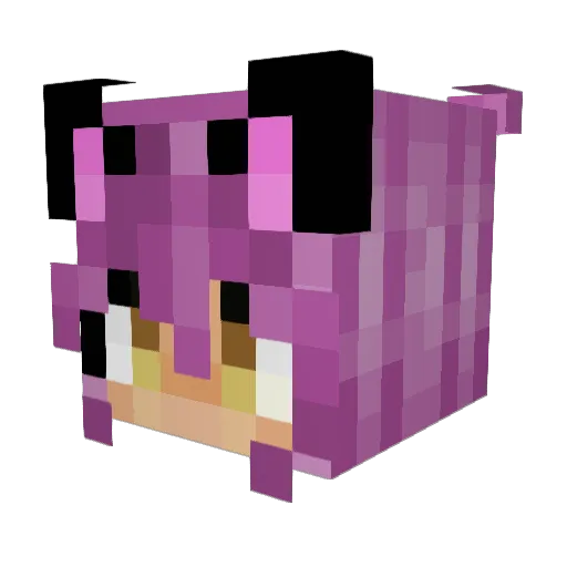 PrinzessinAyame Minecraft avatar head, 3D render
