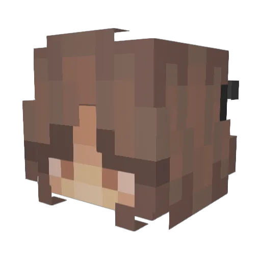 Pripples Minecraft avatar head, 3D render