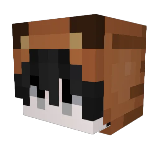 Prise Minecraft avatar head, 3D render