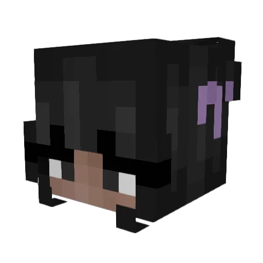 Prish_761 Minecraft avatar head, 3D render