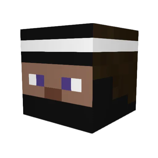 Prisin96 Minecraft avatar head, 3D render
