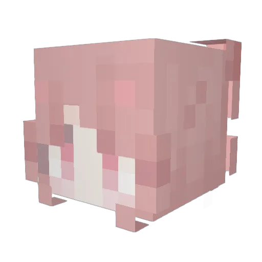 PrismRoses Minecraft avatar head, 3D render