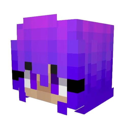 PrismaWolf4 Minecraft avatar head, 3D render