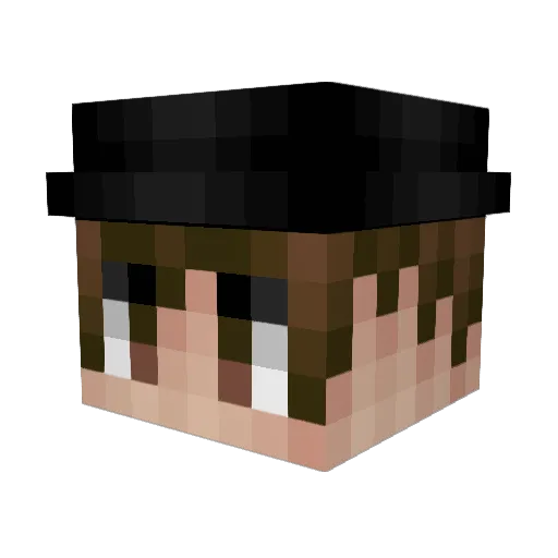 Pritchimightbee Minecraft avatar head, 3D render