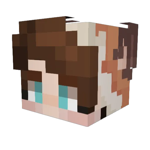 PrivateFox Minecraft avatar head, 3D render