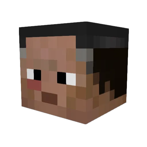 PrivateFritz Minecraft avatar head, 3D render