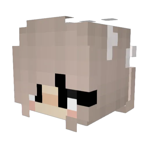 Private_Coward Minecraft avatar head, 3D render