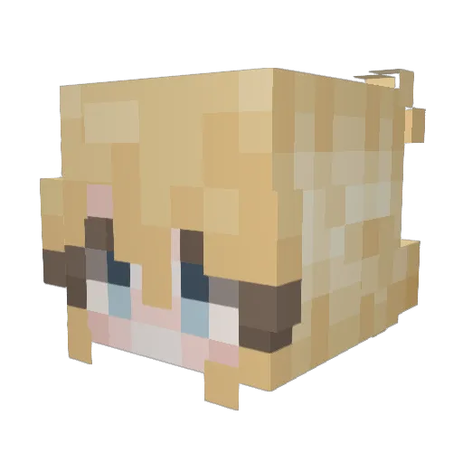 Privateswat12 Minecraft avatar head, 3D render