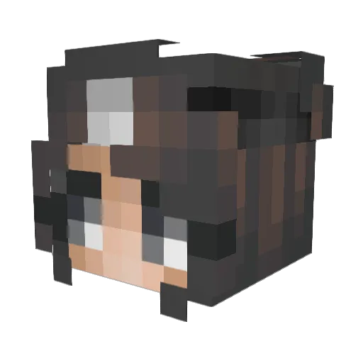 Privatlie Minecraft avatar head, 3D render
