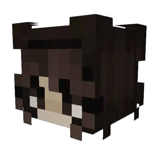 Priwi_06 Minecraft avatar head, 3D render