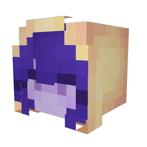 Prizma1 Minecraft avatar head, 3D render