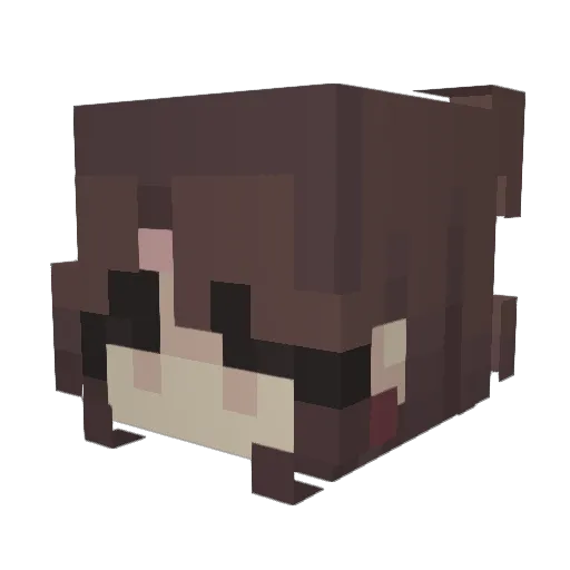 Prizz15 Minecraft avatar head, 3D render