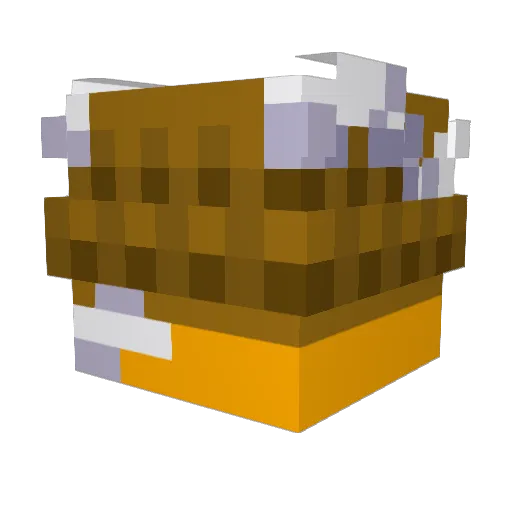 Pro12Nick Minecraft avatar head, 3D render