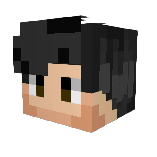 Pro1337x Minecraft avatar head, 3D render