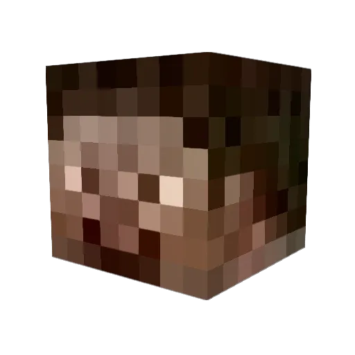 Pro29 Minecraft avatar head, 3D render