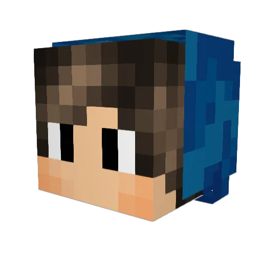 Pro3234 Minecraft avatar head, 3D render