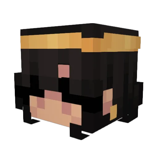 Pro3D Minecraft avatar head, 3D render