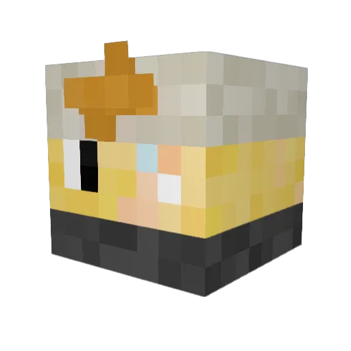 ProAdel14 Minecraft avatar head, 3D render