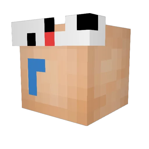 ProBabyGamer123 Minecraft avatar head, 3D render